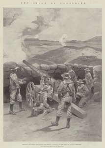 Die Belagerung von Ladysmith